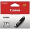 Canon 251 Gray Standard Yield Ink Cartridge  (6517B001)