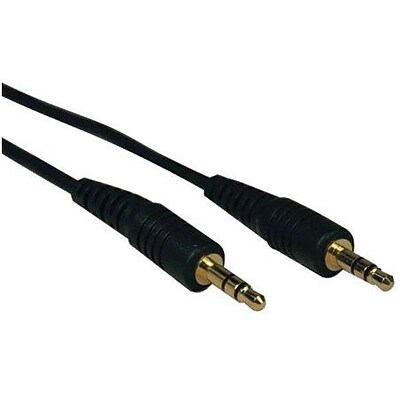 DNPTripp Lite P312 Mini Stereo Dubbing Cable, 10 (P312-010)