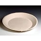 Lagasse Compostable Plate, 10", White, 500/Carton (HUH10117)