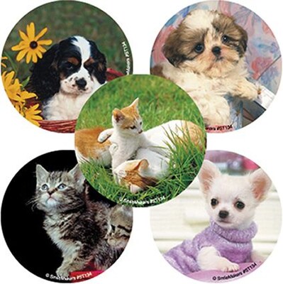 Smilemakers® Baby Animals