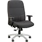 Raynor Eurotech Excelsior Fabric Big and Tall Manager's Chair, Black (BM90000-BLK)