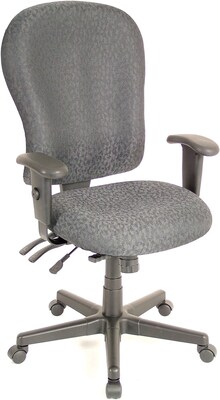 Raynor Eurotech 4 x 4 XL Fabric Ergonomic High-Back Task Chair, Fabric, Charcoal