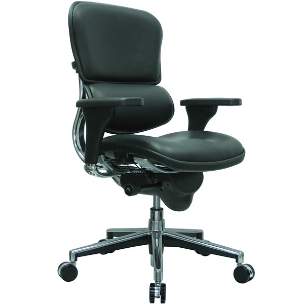 Raynor Eurotech Leather Mid Back Ergo human Chair, Black