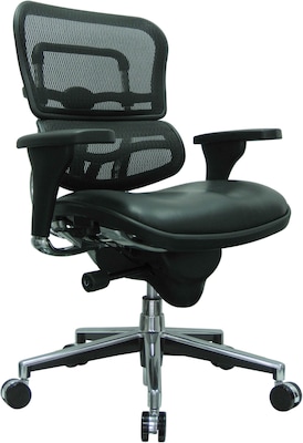 Raynor Eurotech Mesh/Leather Mid Back Ergo human Chair, Black