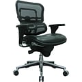 Raynor Eurotech Mesh/Leather Mid Back Ergo human Chair, Black