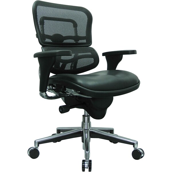 Raynor Eurotech Mesh/Leather Mid Back Ergo human Chair, Black