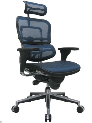 Raynor Eurotech Ergo human High Back Managers Chair, with Headrest and Mesh, Blue