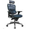 Raynor Eurotech Ergo human High Back Managers Chair, with Headrest and Mesh, Blue