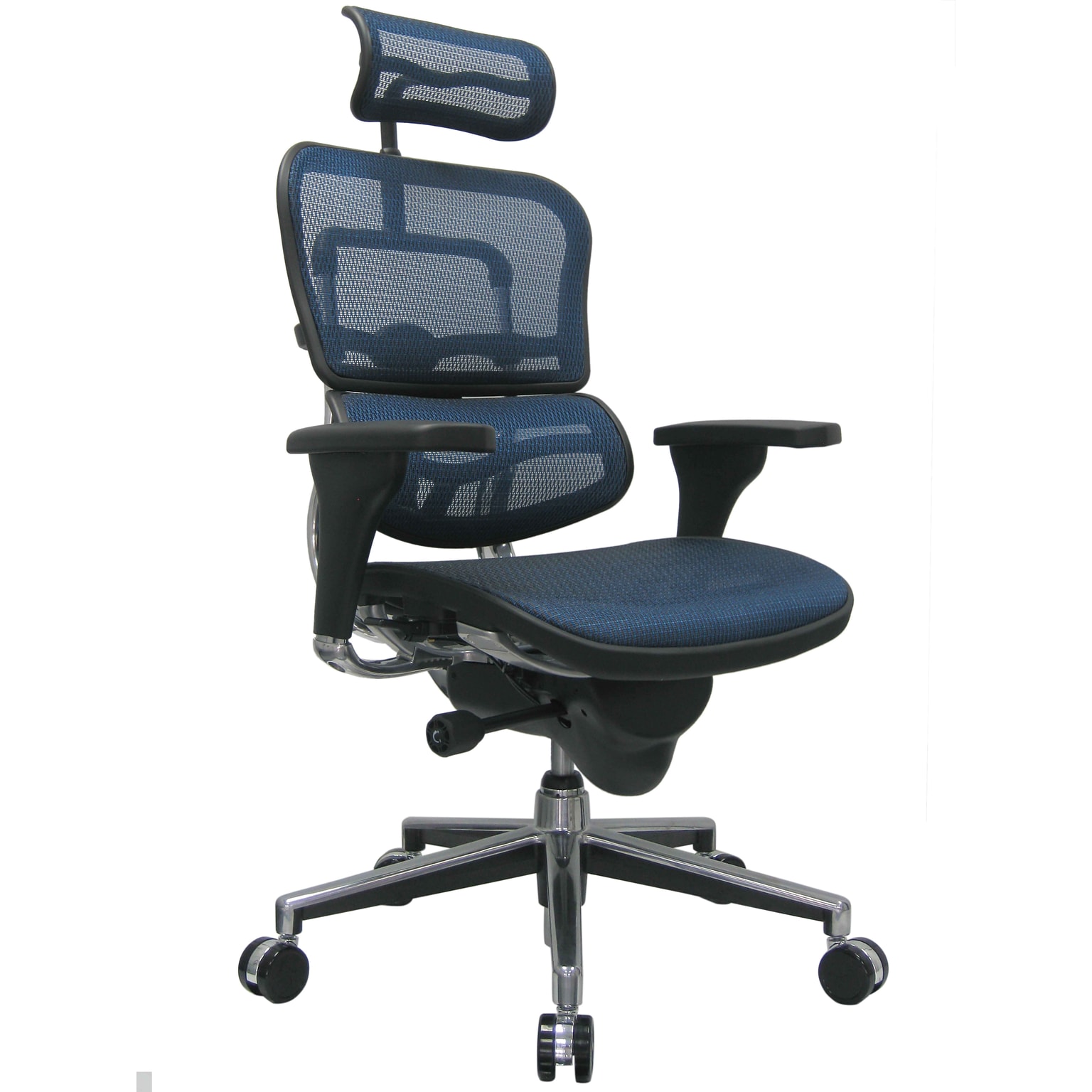 Raynor Eurotech Ergo human High Back Managers Chair, with Headrest and Mesh, Blue