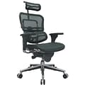 Raynor Eurotech Ergo human High Back Managers Chair, Headrest and Mesh, Green
