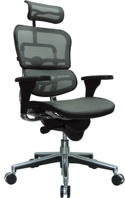 Raynor Eurotech Ergo human High Back Managers Chair, Headrest and Mesh, Gray