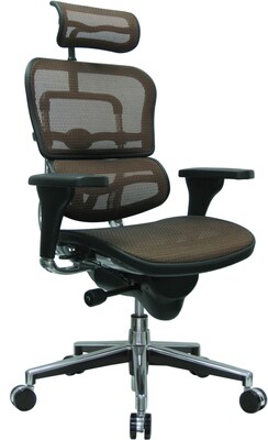 Raynor Eurotech Ergo human High Back Managers Chair, with Headrest and Mesh, Orange