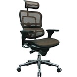 Raynor Eurotech Ergo human High Back Managers Chair, with Headrest and Mesh, Orange