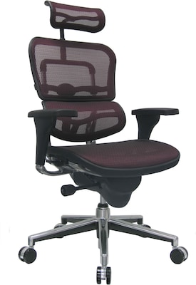 Raynor Eurotech Ergo human High Back Managers Chair, with Headrest and Mesh, Plum Red