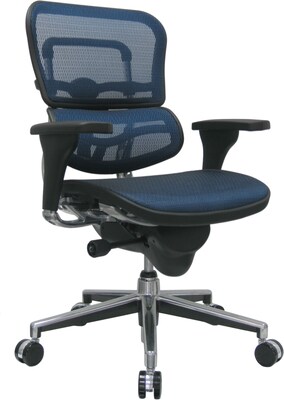 Raynor Eurotech Ergo human Mesh Mid Back Task Chair, Blue