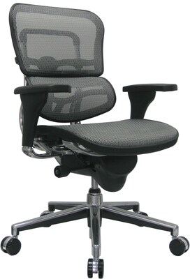 Raynor Eurotech Ergo human Mesh Mid Back Task Chair, Gray