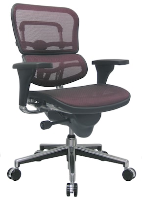 Raynor Eurotech Ergo human Mesh Mid Back Task Chair, Plum Red