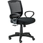 Raynor Eurotech Fabric/Mesh Maze Task Chair, Black