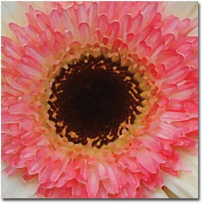 Trademark Global Amy Vangsgard Pink and Brown Gerber Center Canvas Art, 24 x 24 (886511133082)
