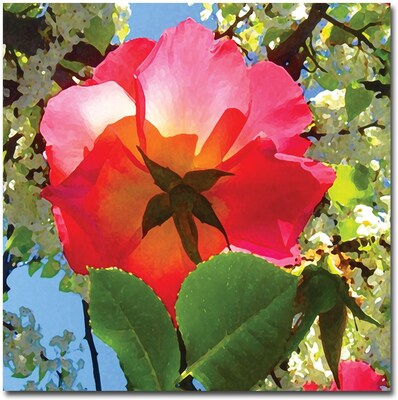 Trademark Global Amy Vangsgard Rose Under Tree Canvas Art, 24 x 24
