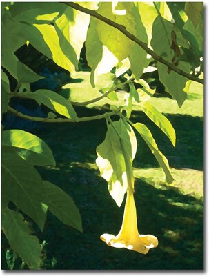 Trademark Global Amy Vangsgard Singe Angels Trumpet Canvas Art, 18 x 24