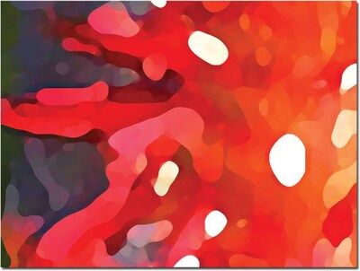 Trademark Global Amy Vangsgard Red Sun Canvas Art, 35 x 47
