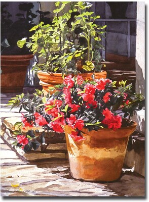 Trademark Global David Lloyd Glover Blossom Niche Canvas Art, 35 x 47