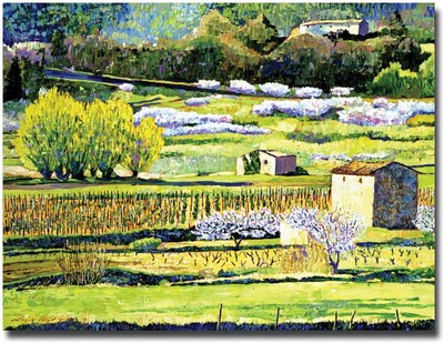 Trademark Global David Lloyd Glover Bordeaux Vineyards in Spring Canvas Art, 18 x 24