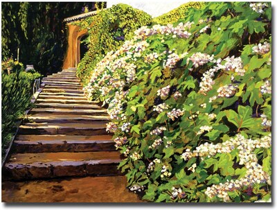Trademark Global David Lloyd Glover Garden Stairway Tuscany Canvas Art, 35 x 47