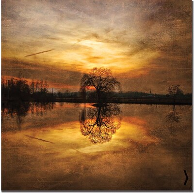 Trademark Global Philippe Sainte Laudy Ball Gold Canvas Art, 18 x 18