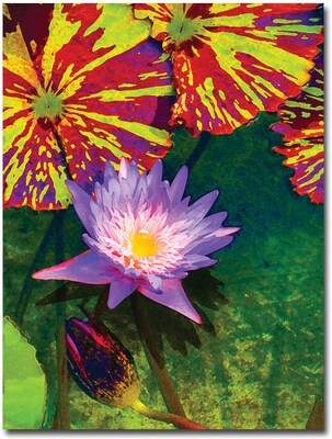 Trademark Global Amy Vangsgard Waterlily Canvas Art, 24 x 32