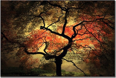 Trademark Global Philippe Sainte Laudy Japanese Canvas Art, 30 x 47