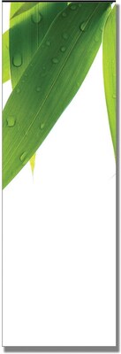 Trademark Global Philippe Sainte Laudy Life is Green - B Canvas Art, 8 x 24