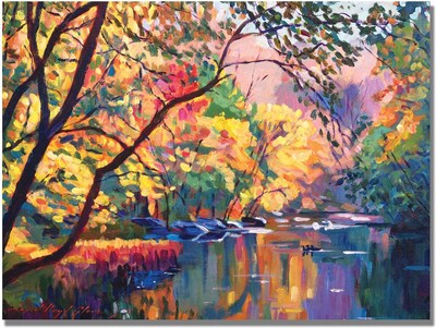 Trademark Global David Lloyd Glover Color Reflections Canvas Art, 18 x 24