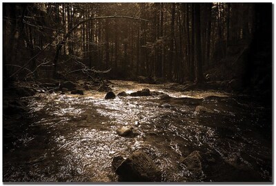 Trademark Global Philippe Sainte Laudy The River Canvas Art, 30 x 47