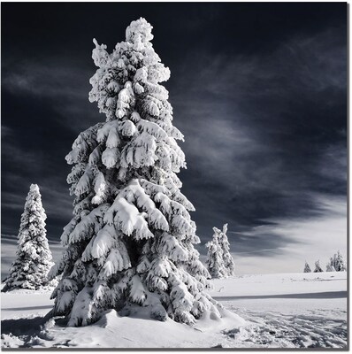 Trademark Global Philippe Sainte Laudy White Ink Canvas Art, 14 x 14