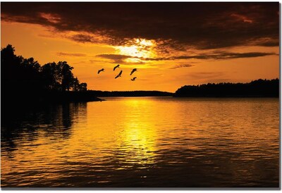 Trademark Global Philippe Sainte Laudy White Fly Canvas Art, 16 x 24