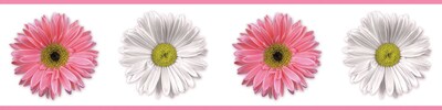 RoomMates® Flower Power Peel and Stick Border, Pink, Red, Rose, White, 180 L x 5 W