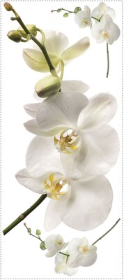 RoomMates® White Orchid Peel and Stick Giant Wall Decal, 18 x 40