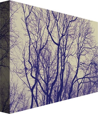 Trademark Global Ariane Moshayedi Branches Canvas Art, 16 x 24