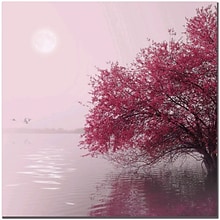 Trademark Global Philippe Sainte Laudy Full Moon on the Lake Canvas Art, 14 x 14