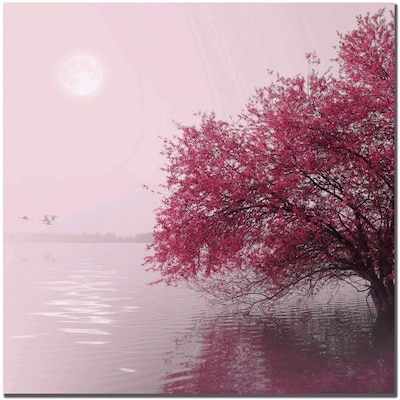 Trademark Global Philippe Sainte Laudy Full Moon on the Lake Canvas Art, 24 x 24
