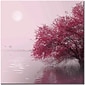 Trademark Global Philippe Sainte Laudy "Full Moon on the Lake" Canvas Art, 35" x 35"