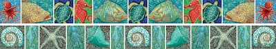 Barker Creek Surf's Up! Coral Reef Double Sided Trim, 35" L x 3" W, 12/Pack