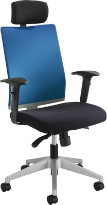 Safco Tez Fabric Back Nylon Fabric Computer and Desk Chair, Black/Calypso (7030CO)