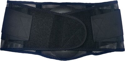 Ergodyne ProFlex® 1051 Mesh Back Support, Large, Black