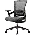 Skate Ergonomic Mesh Chair, Adjustable Arms, Silver Gray