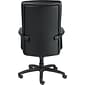 Raynor Eurotech Manchester Leather Executive Chair, Black