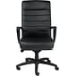 Raynor Eurotech Manchester Leather Executive Chair, Black