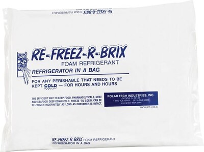 Re-Freez-R-Brix Cold Bricks, 11 1/4 x 9 1/4 x 1, 12/Case (RB64)